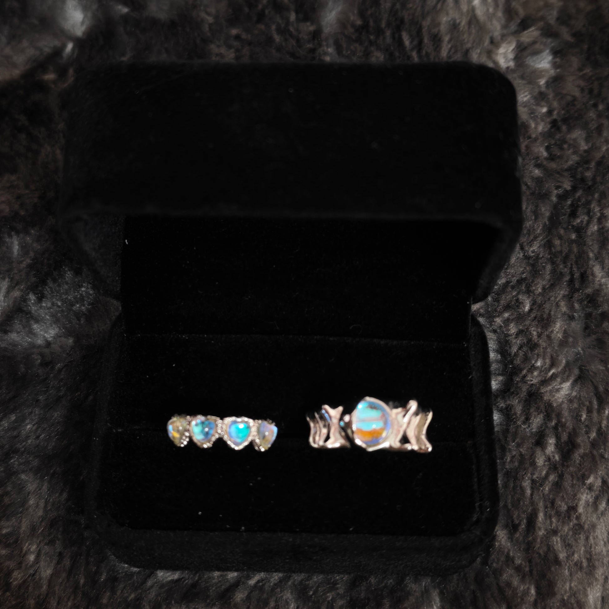 Two iridescent aurora rings displayed side by side in black velvet box, close-up detail view