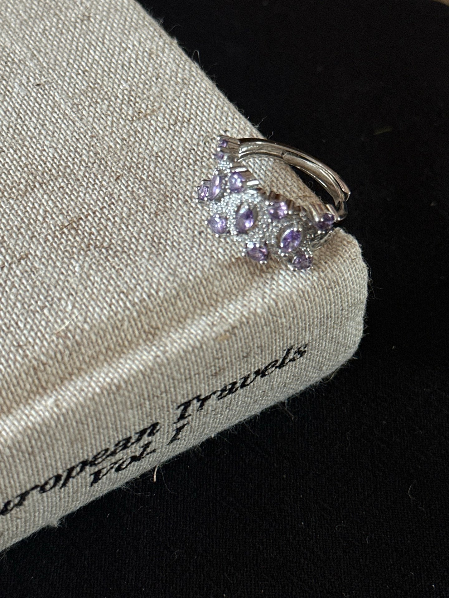 ASLOP TREASURE Purple Pavé Ring – ring product photo