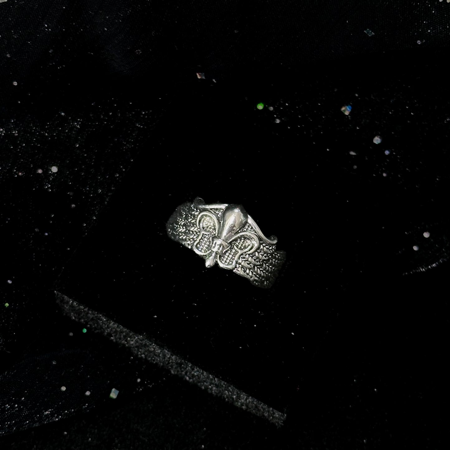 Guardian of the Dark Fallen Angel Wing Ring Set in open Aslop Jewelry white gift box, angled view