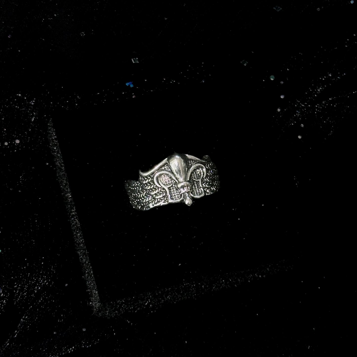 Guardian of the Dark Fallen Angel Wing Ring Set in open Aslop Jewelry white gift box, overhead flat view