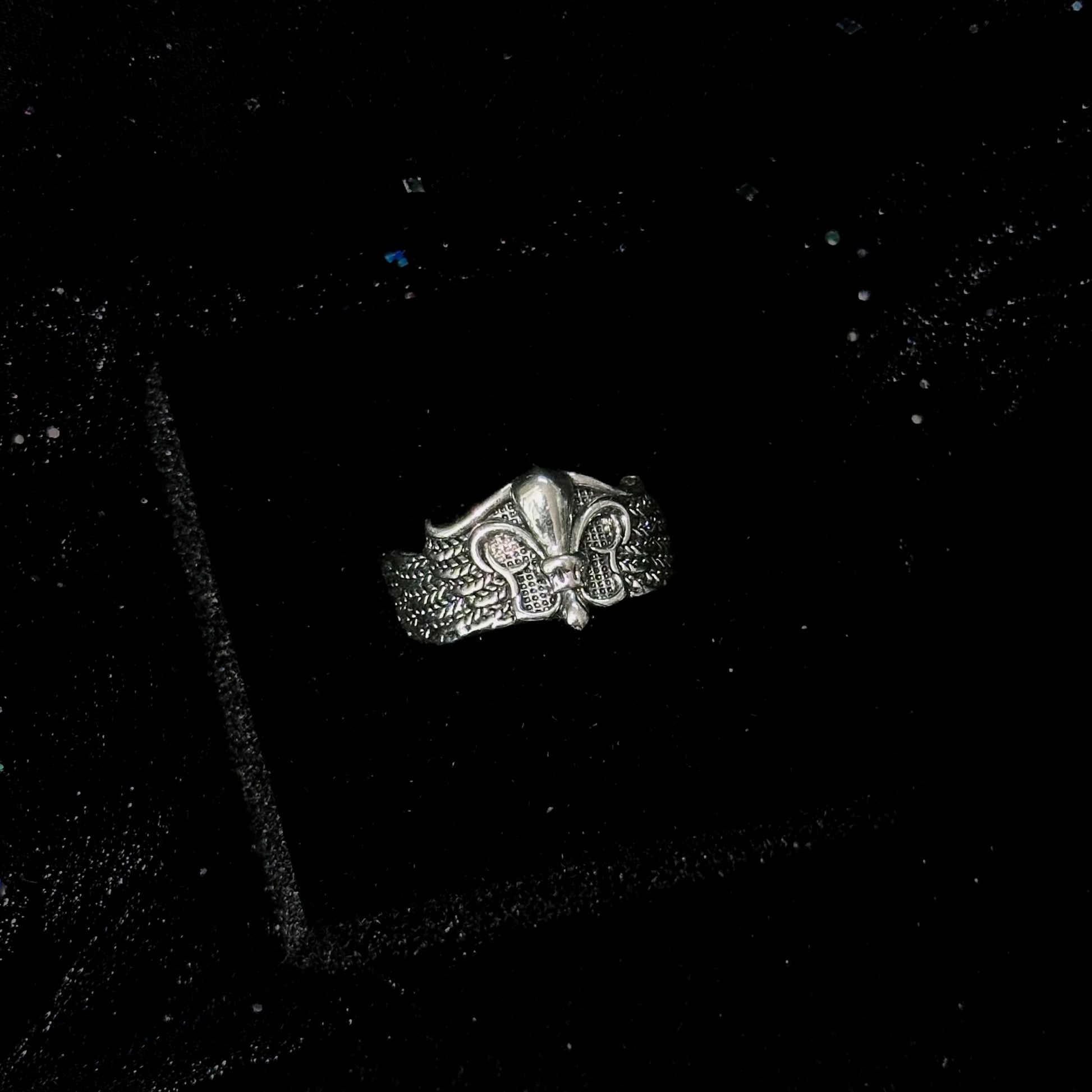 Guardian of the Dark Fallen Angel Wing Ring Set in open Aslop Jewelry white gift box, overhead flat view